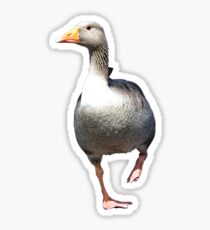 Goose on the Loose Sticker
