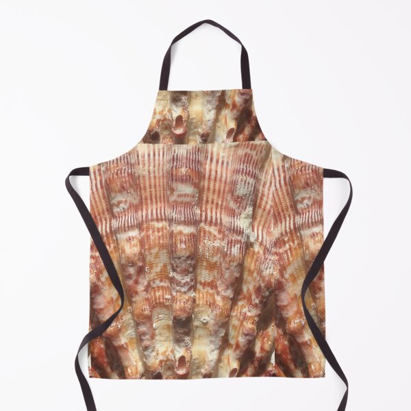 Item preview, Shell Seashell Sea shore  designed and sold by Kaushal Pal.
