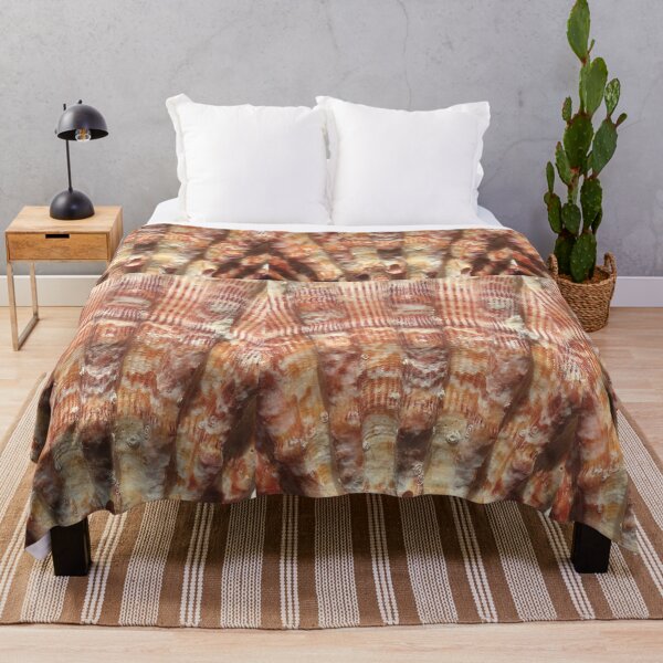 Item preview, Shell Seashell Sea shore  designed and sold by Kaushal Pal.