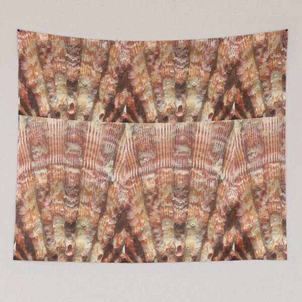 Item preview, Shell Seashell Sea shore  designed and sold by Kaushal Pal.