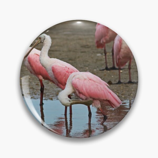 Item preview, Everything Has Changed designed and sold by Michiale.