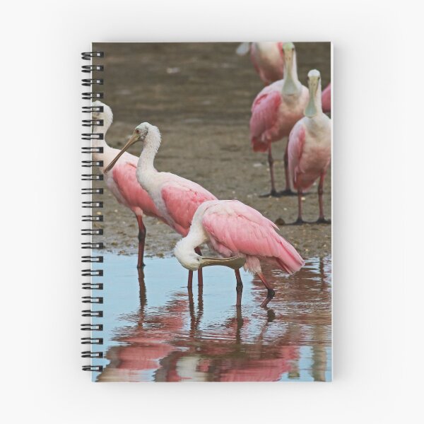 Item preview, Everything Has Changed designed and sold by Michiale.