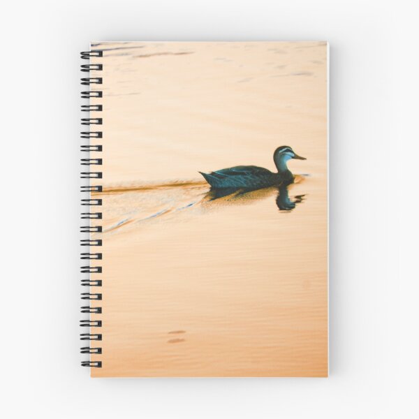 Item preview, Duck Swimming at Sunset  designed and sold by Digitaldingo.