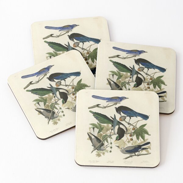 Item preview, 362 I. Yellow billed Magpie 2. Stellers Jay 3. Ultramarine Jay 4. Clark's Crow designed and sold by Bird-Lore.