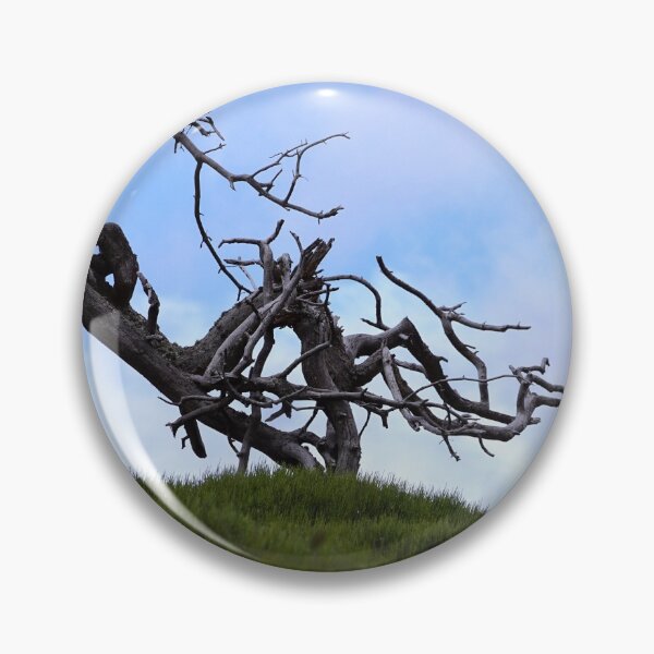 Item preview, Old dead tree designed and sold by Alcphoto13.
