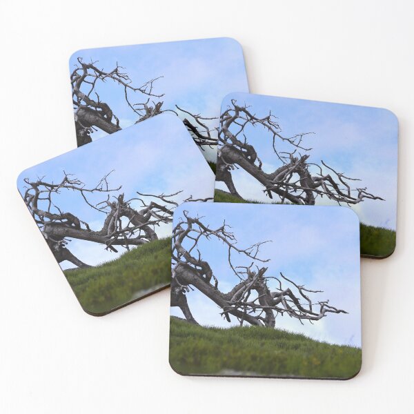 Item preview, Old dead tree designed and sold by Alcphoto13.