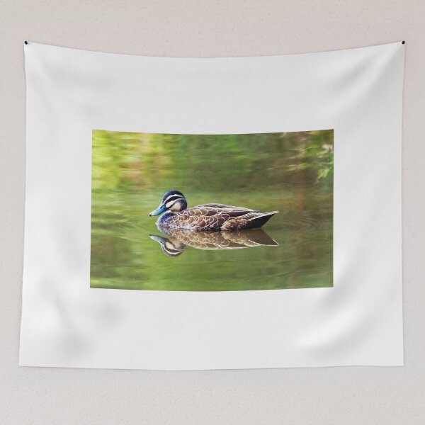 Item preview, Pacific Black Duck designed and sold by Peter Hocking.