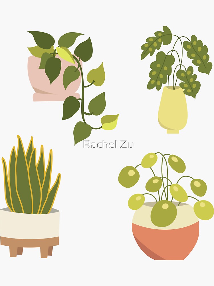 Illustrated Hanging Plant Laptop Stickers Set of 5 Succulent