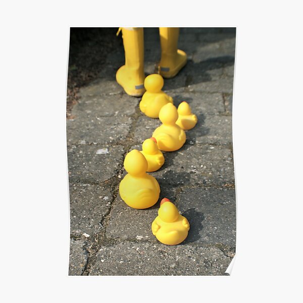 Follow the yellow Poster