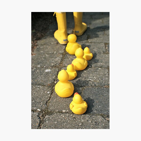 Follow the yellow Photographic Print