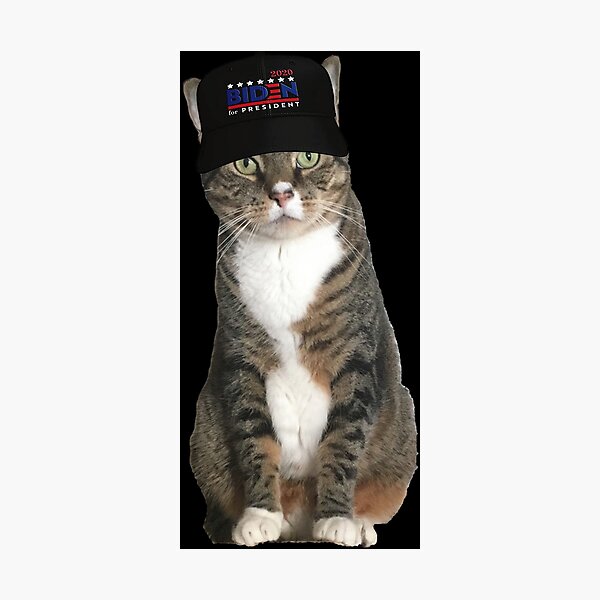 Animals Wearing Hats Photographic Prints Redbubble - a cute cat is wearing a duck hat roblox