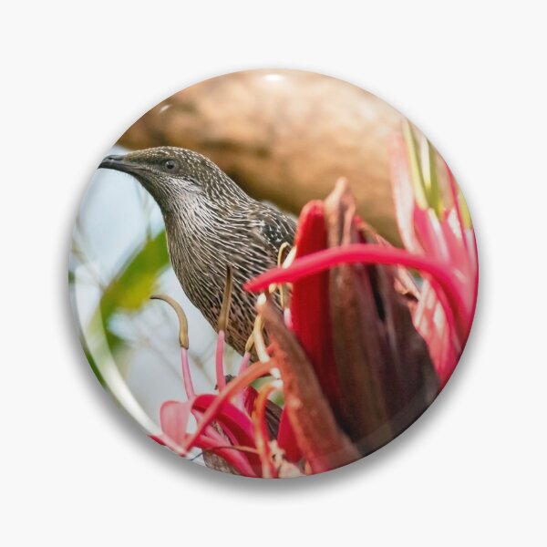 Item preview, Little Wattlebird designed and sold by Peter Hocking.