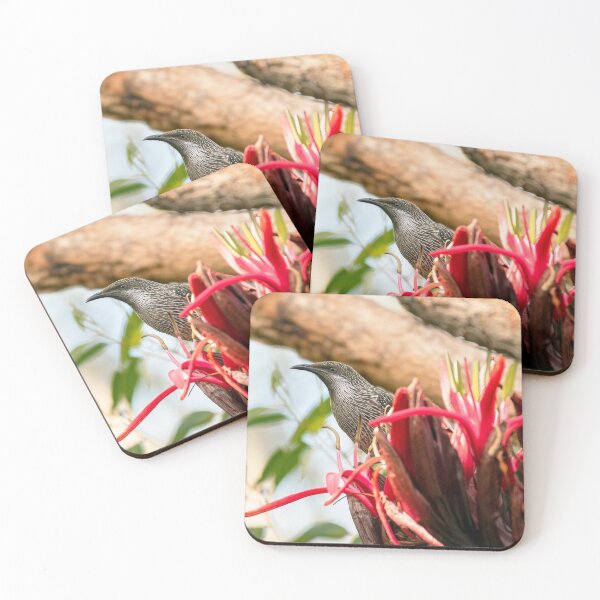 Item preview, Little Wattlebird designed and sold by Peter Hocking.