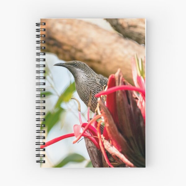 Item preview, Little Wattlebird designed and sold by Peter Hocking.