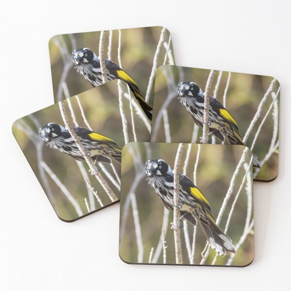 Item preview, New Holland Honeyeater designed and sold by Peter Hocking.