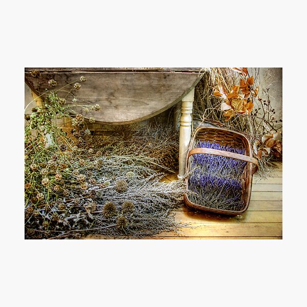 The Lavender Basket Photographic Print
