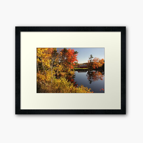 Fall Splendor Framed Art Print