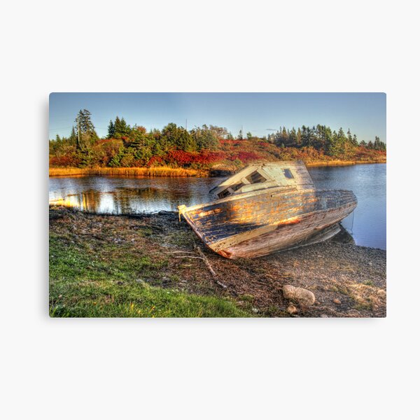 Fall Iight on Old Bones Metal Print