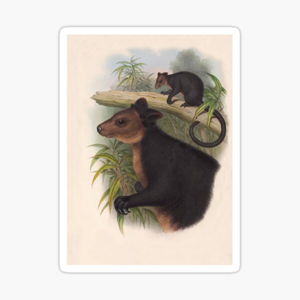 Item preview, Twp Ursine Tree Kangaroos by Henry Constantine Richter designed and sold by TheCurators.