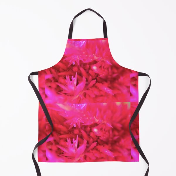 Item preview, Fuchsia Floral Fun designed and sold by eyly.