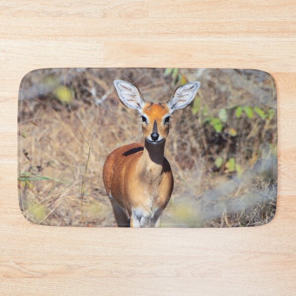 Item preview, Steenbok antelope in South Africa designed and sold by SafariByMarisa.