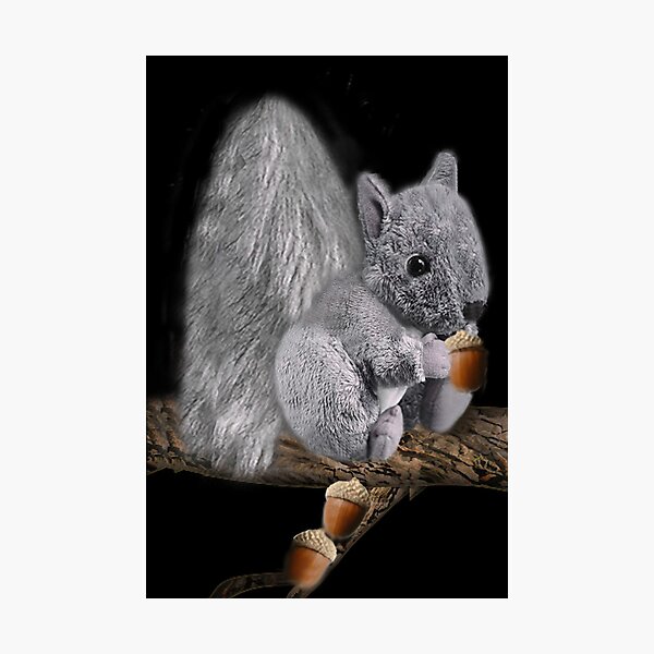 Item preview, ✿♥‿♥✿MY CUDDLY LITTLE SQUIRREL WITH ACORNS✿♥‿♥✿ designed and sold by ✿✿ Bonita ✿✿ ђєℓℓσ.