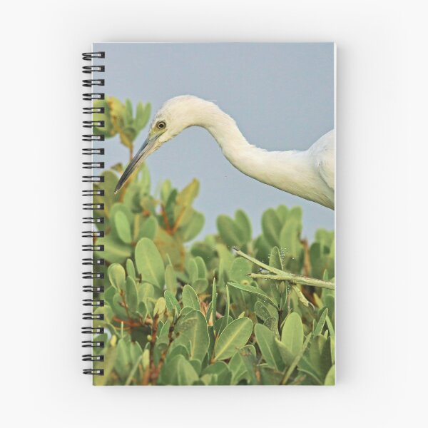 Item preview, Changing Plans designed and sold by Michiale.