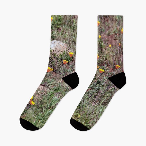 Item preview, California Poppies designed and sold by heatherfriedman.