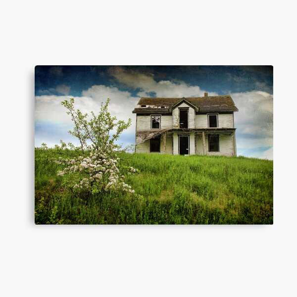 Beauty & The Blossom Canvas Print