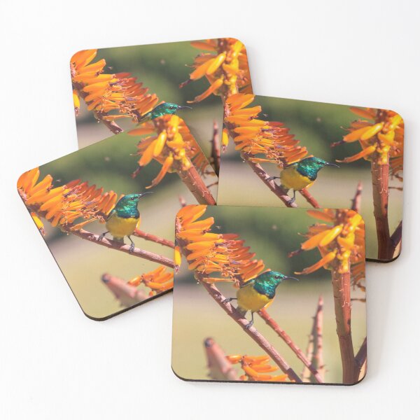 Item preview, Collared Sunbird with Orange Flowers, South Africa designed and sold by SafariByMarisa.