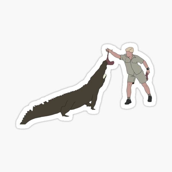 “robert irwin” Sticker for Sale by theirwins | Redbubble