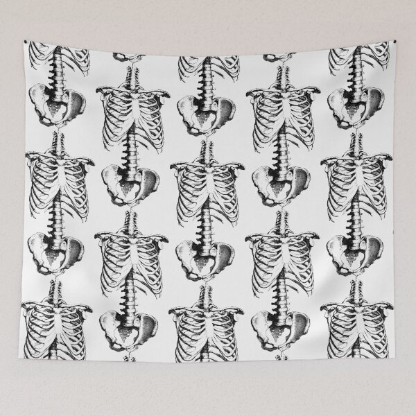Item preview, Sleleton drawing of ribs, torso and pelvis designed and sold by headpossum.
