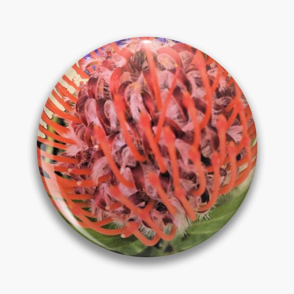 Item preview, Waratah designed and sold by Margaret Stevens.