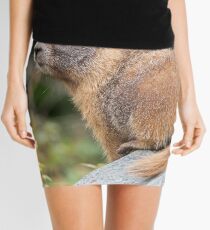 Looking Back Mini Skirt