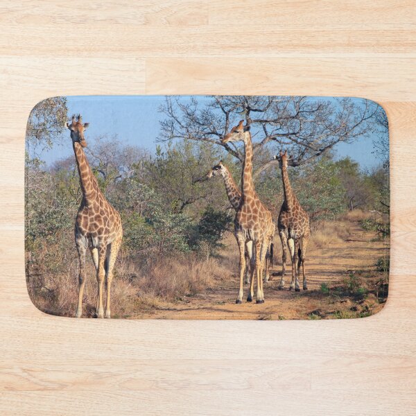Item preview, Four giraffes in the morning light designed and sold by SafariByMarisa.