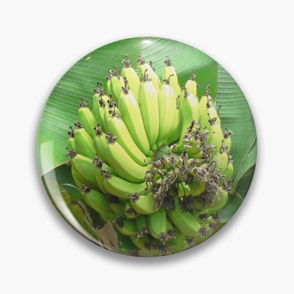 Item preview, Growing bananas on Kauai designed and sold by Martha Sherman.