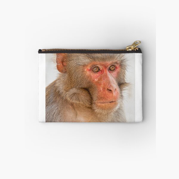 Item preview, Rhesus Macaque designed and sold by photograham.