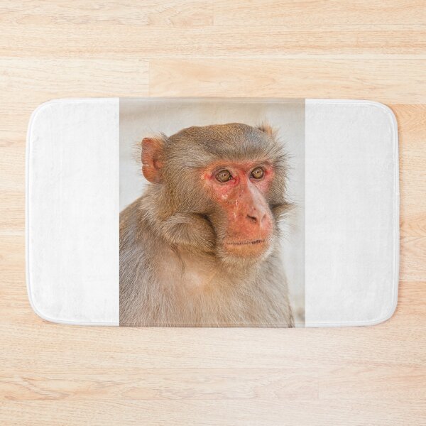 Item preview, Rhesus Macaque designed and sold by photograham.