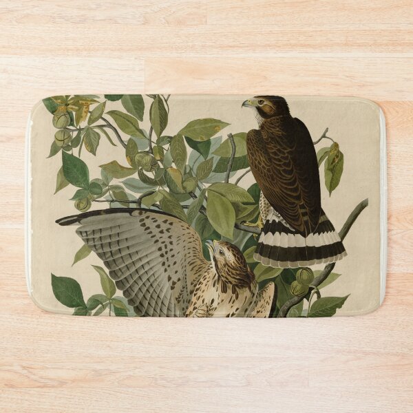 Item preview, 91 Broad winged Hawk designed and sold by Bird-Lore.