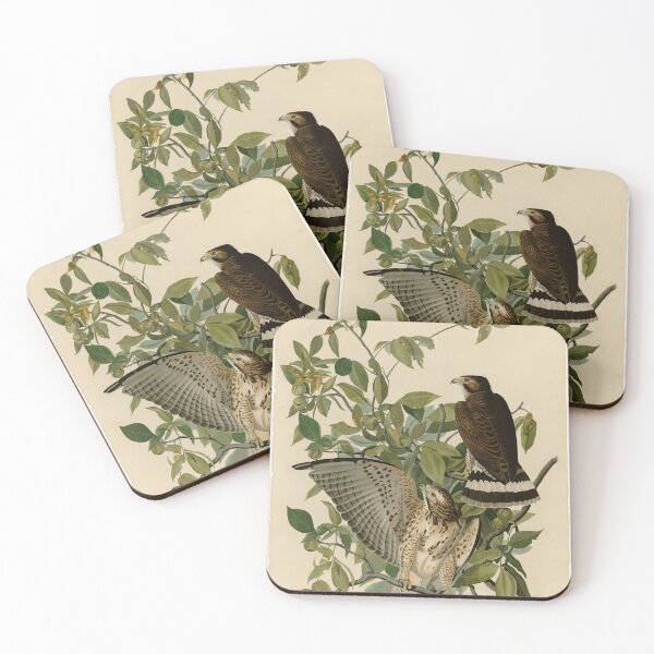 Item preview, 91 Broad winged Hawk designed and sold by Bird-Lore.