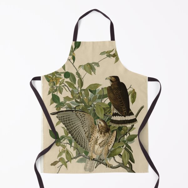 Item preview, 91 Broad winged Hawk designed and sold by Bird-Lore.