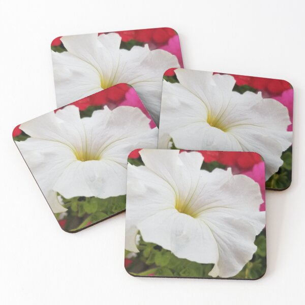 Item preview, White Petunia Photo designed and sold by f2error.