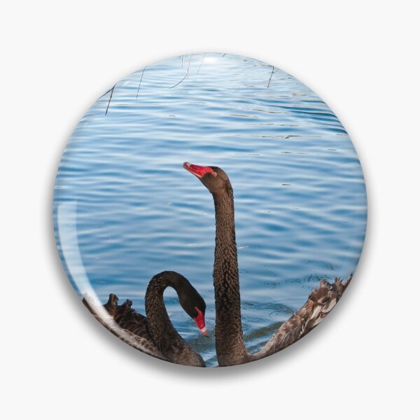 Item preview, Black Swans designed and sold by Maree Toogood.