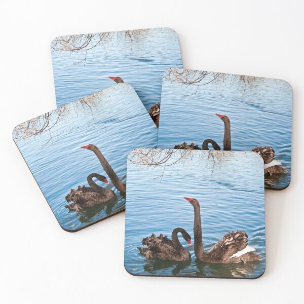Item preview, Black Swans designed and sold by Maree Toogood.