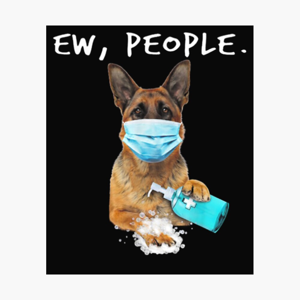 german shepherd wearing clothes