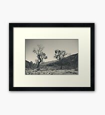 Survival Can Be Tough Framed Print