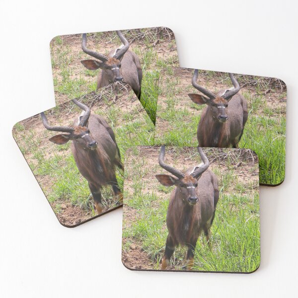 Item preview, Nyala antelope, southern Africa designed and sold by FranWest.