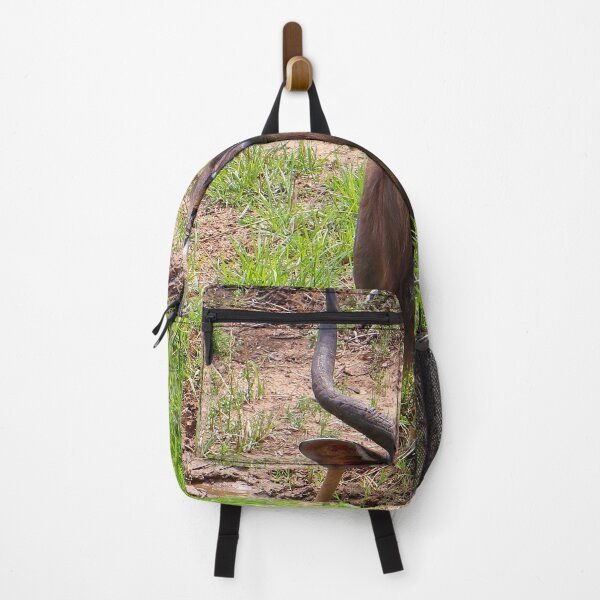 Item preview, Nyala antelope, southern Africa designed and sold by FranWest.