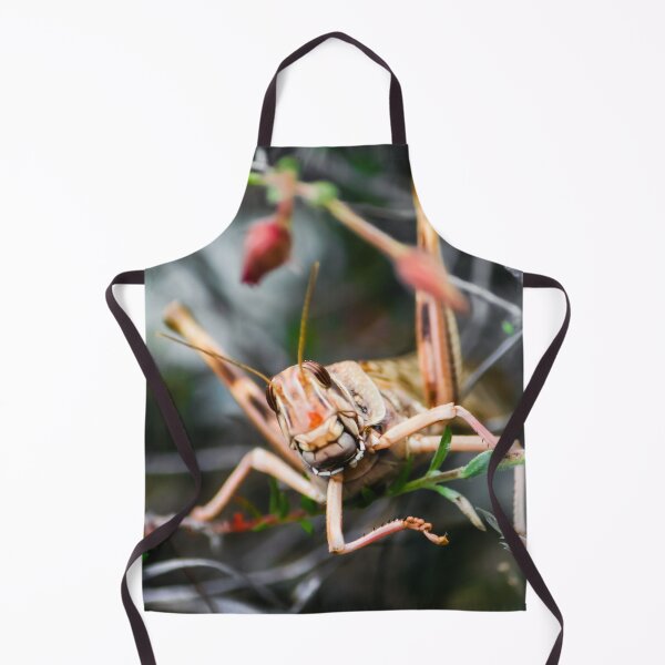 Item preview, Smiling Grasshopper designed and sold by Vienewi.