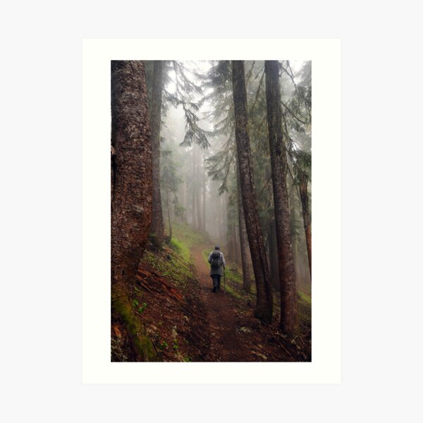 Fog Hiker Art Print